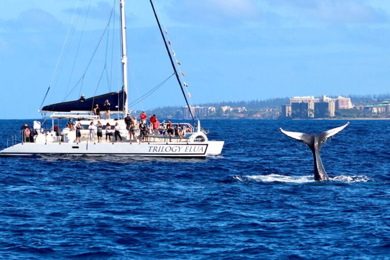 Ka’anapali Whale Watch