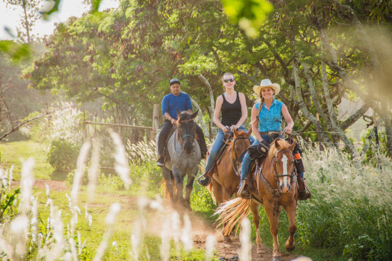 Scenic Horseback Ride