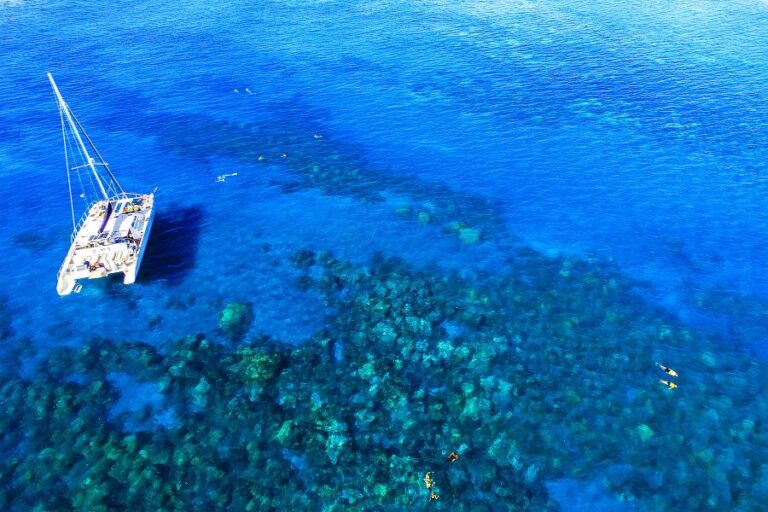 Discover West Maui Snorkel