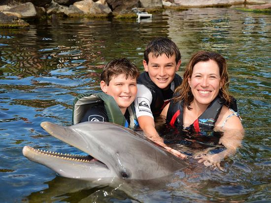 Swim With Dolphins - Deluxe Encounter