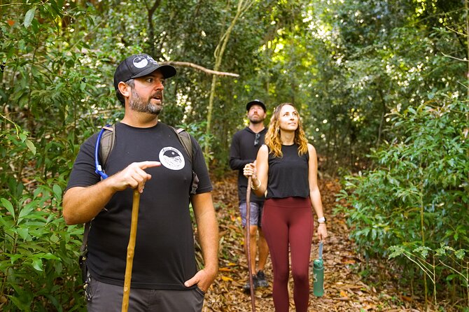 Honolua Ridgeline Hike