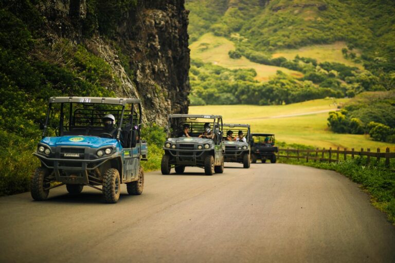 The Most Popular Activity on Each Hawaiian Island, by Booking Volume