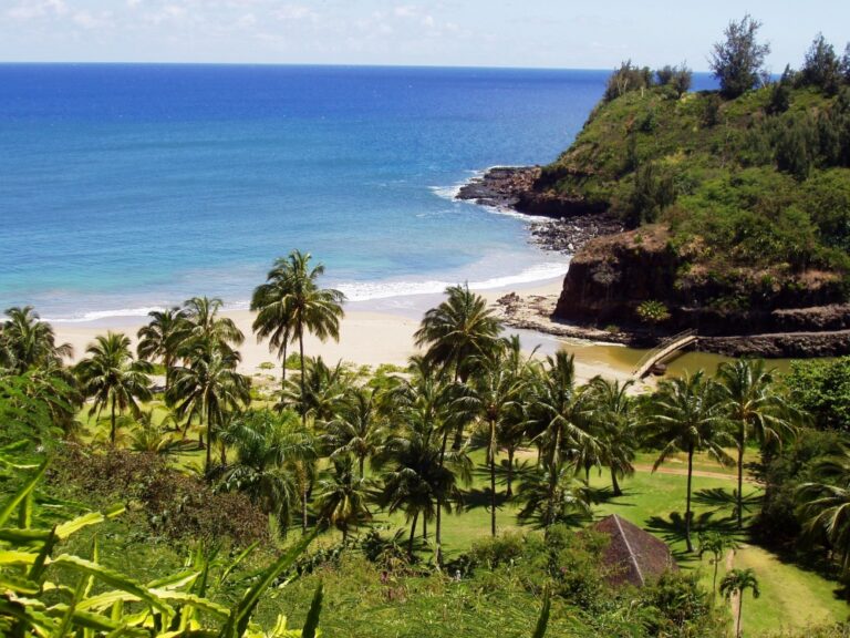 Tropical Botanical Gardens Tour