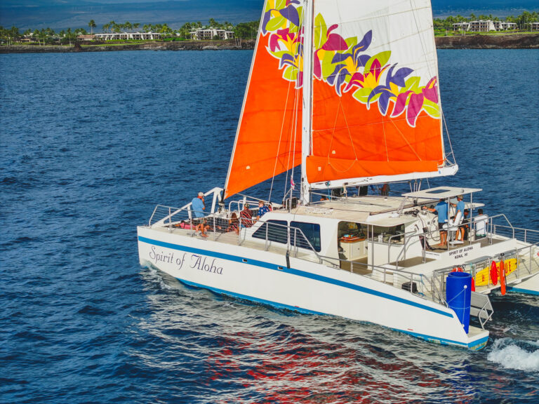 Waikoloa Turtle Snorkel – Spirit of Aloha