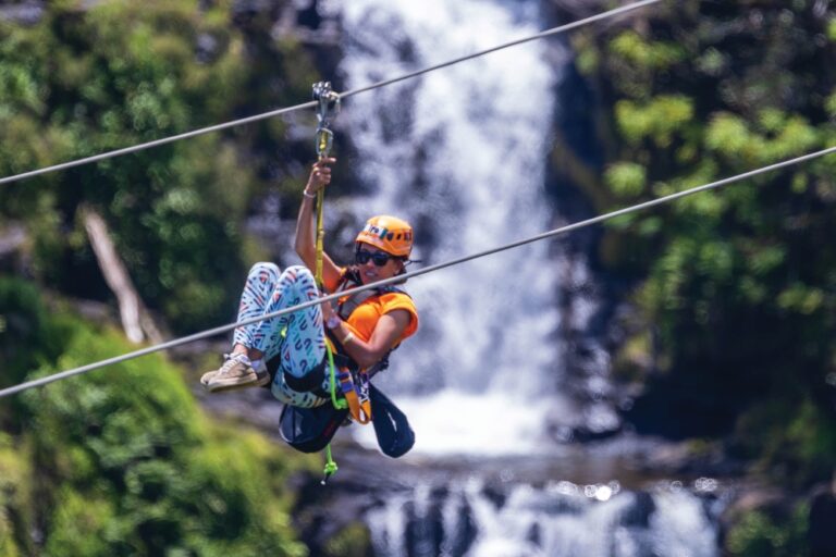8 Zipline Rainforest Adventure
