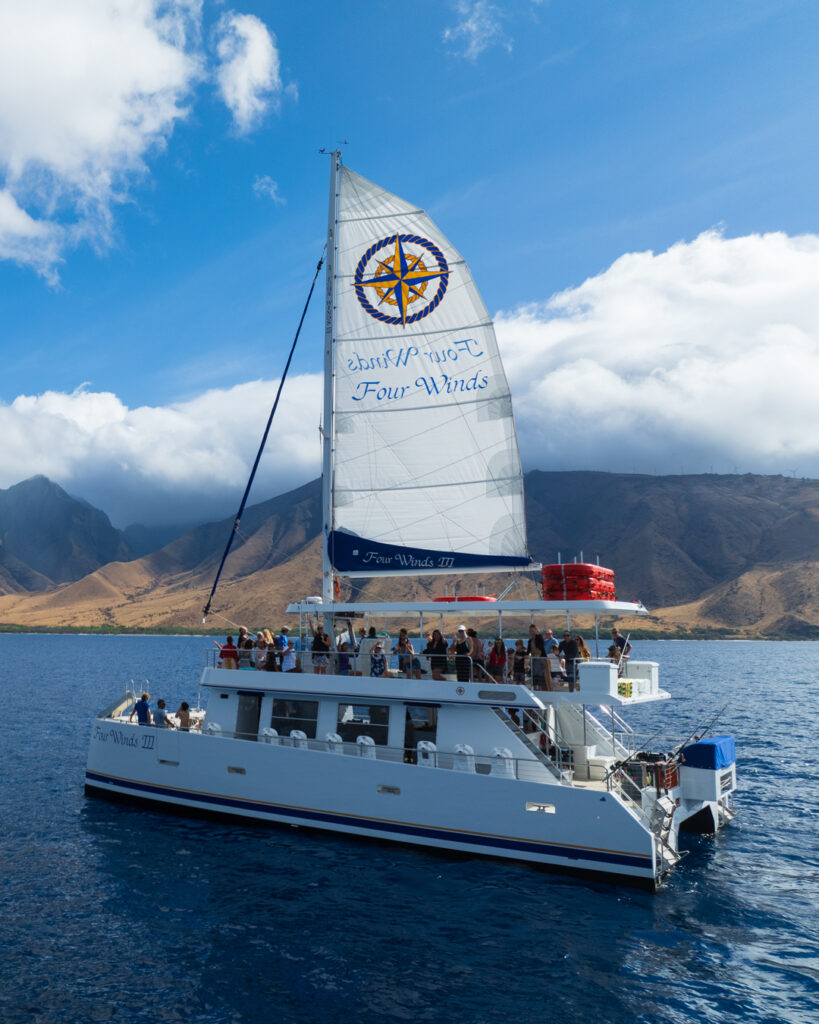 Afternoon Snorkel To Molokini or Coral Gardens