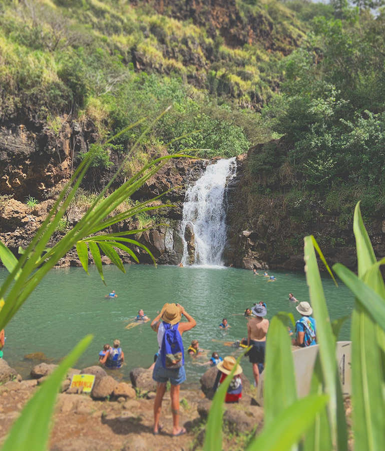 Majestic Circle Island Tour