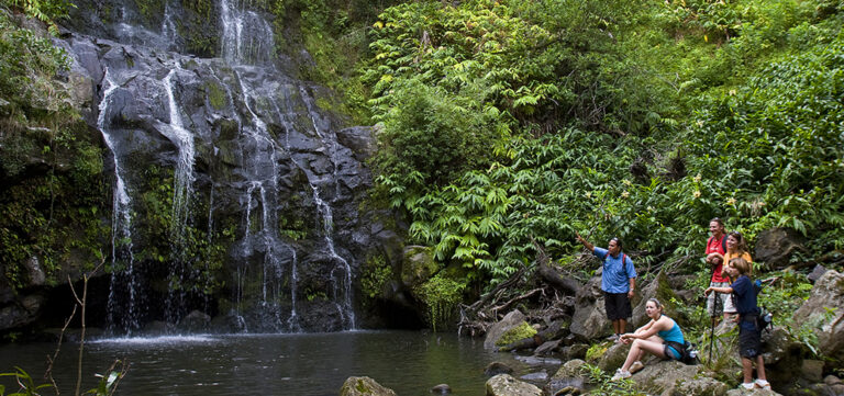 Kohala Waterfalls Adventure Tour