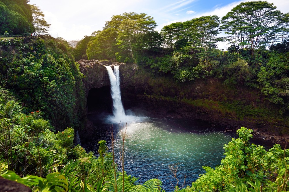 Big Island Day Tour From Hilo