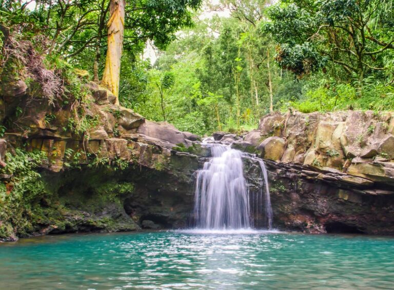 Waterfall & Rainforest Hike With Trans (South Maui)