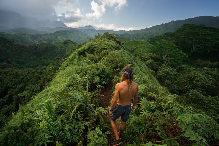 Custom Kauai Hiking Tour: Half Day Adventure
