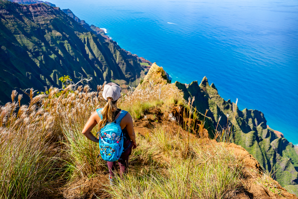 Custom Kauai Hiking Tour: Full Day Adventure