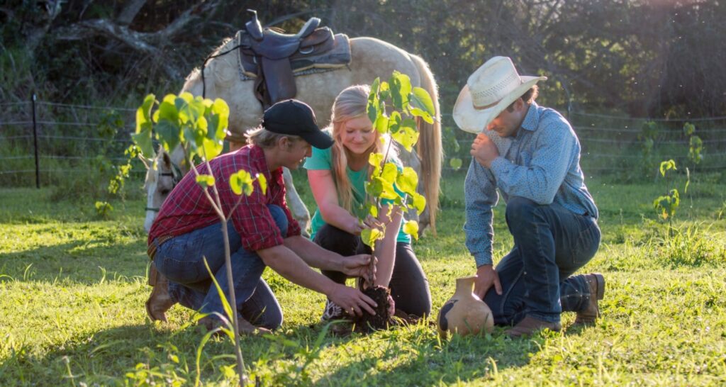 Horseback Legacy Forest Planter's Experience
