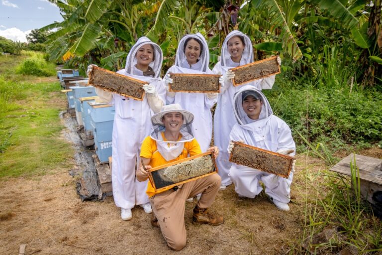 Bee Farm Tour & Honey Tasting