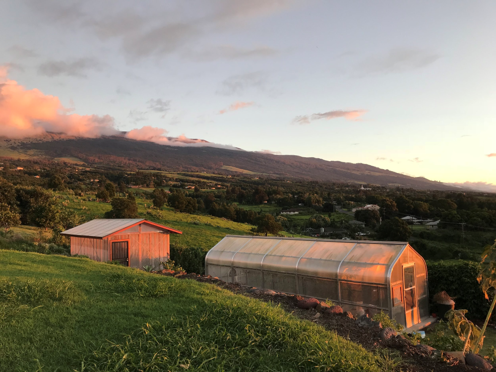 Kula Organic Farm - Private Tour