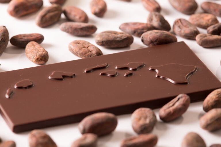 Chocolate Tasting & Tour