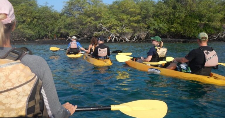Keauhou Bay Kayak Adventure