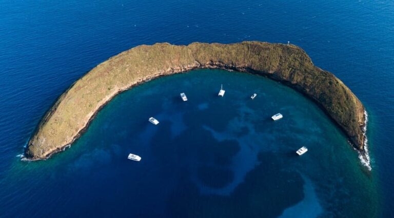 Molokini & Turtle Arches Snorkel