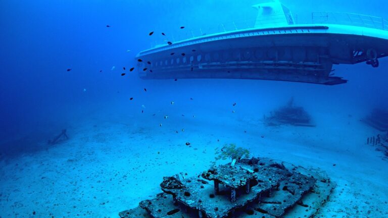 Atlantis Submarine Adventure – Oahu