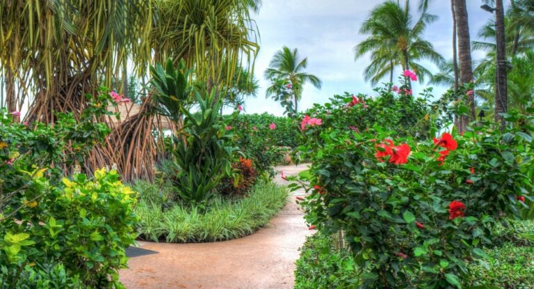 Botanical Garden Walk & Chocolate Tour