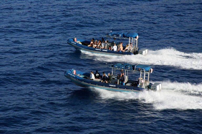 Molokini & Turtle Town Snorkel