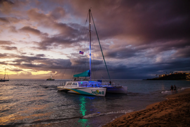 The 15 Best Things to Do in Maui (What to Book, and What to Skip)