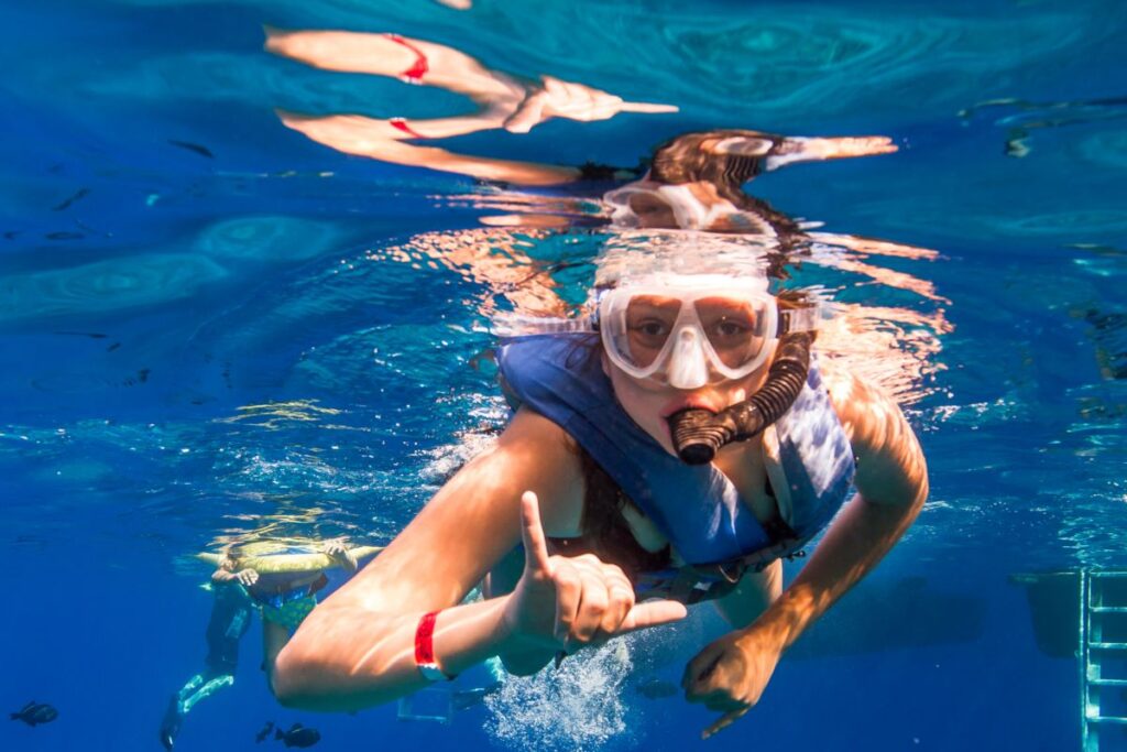 Captain's Choice Afternoon Snorkel