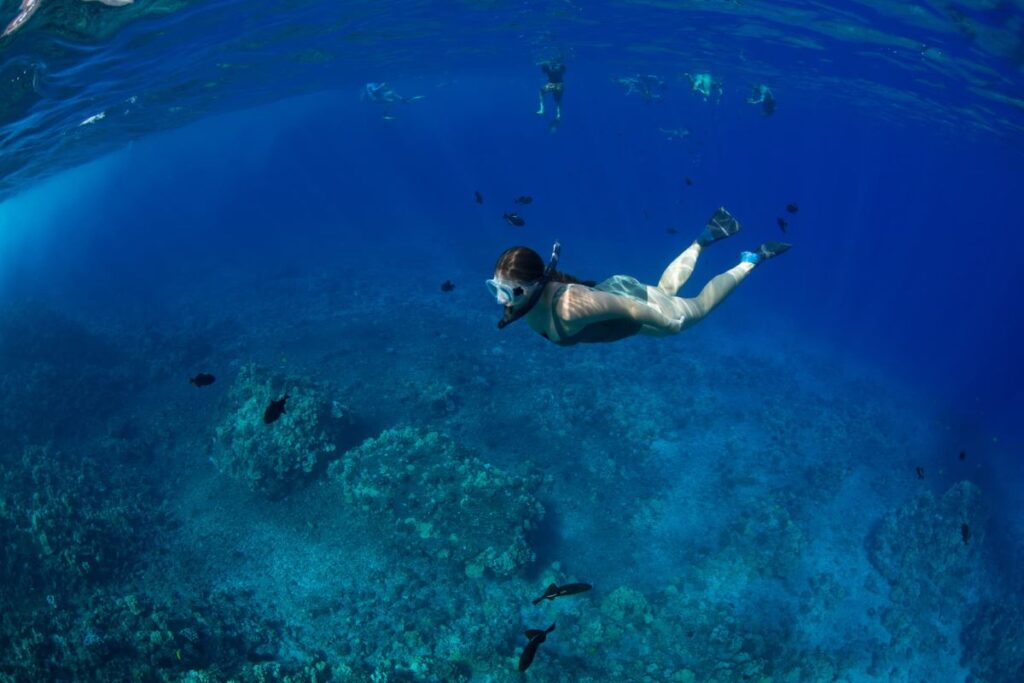 Express Molokini Snorkel