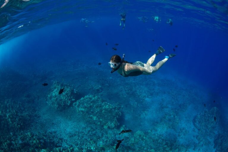 Snorkel Tours on West Maui and Lāna’i, Beyond Molokini