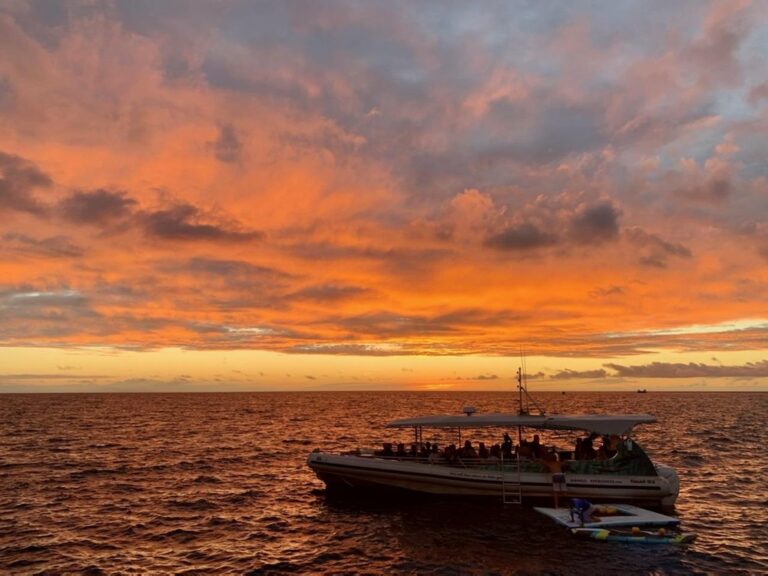 Kona Sunset Manta Ray Snorkel Experience