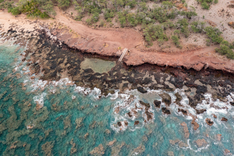 Discover Lanai Snorkel