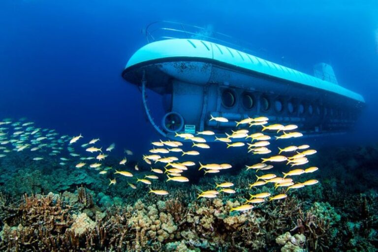 Atlantis Submarine Adventure – Kona