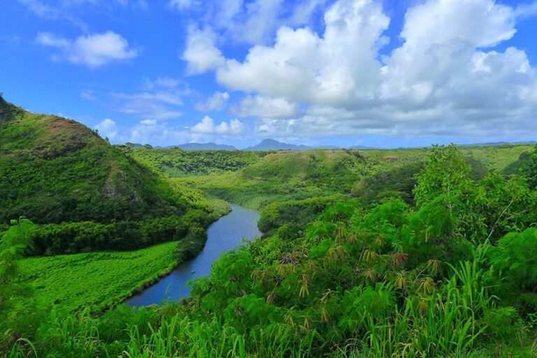 Waimea Canyon, Wailua River, & Fern Grotto Tour