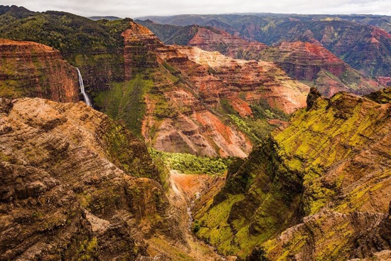 Waimea Canyon & Koke’e Adventure Tour