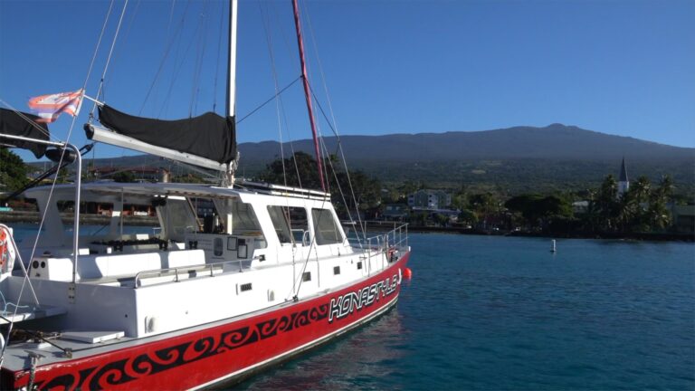 The Best Kealakekua Bay and Captain Cook Snorkel Tours on the Big Island