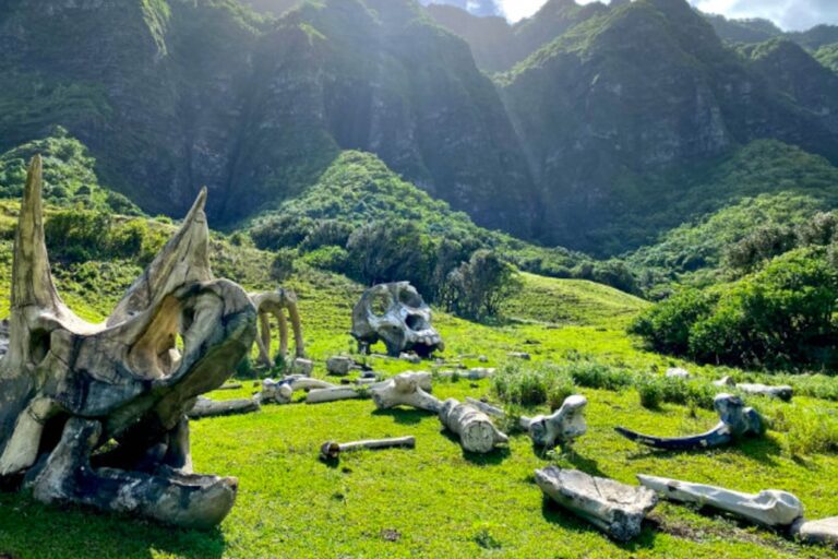 The Best Half-Day Tours for Cruise Passengers Docking in Maui
