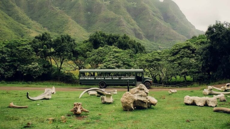 Hawaii Movie Site Tours, and What Each One Actually Shows You