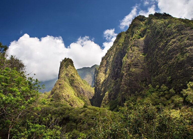 Best of Maui: Sips, Sites, & Bites Tour
