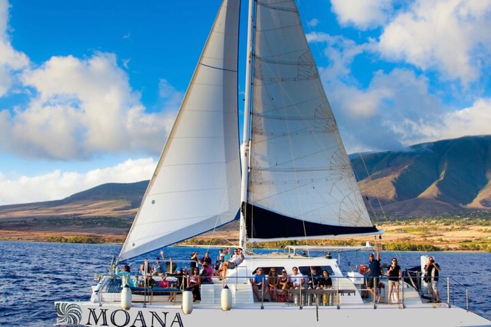 Turtle Canyon Snorkel Sail