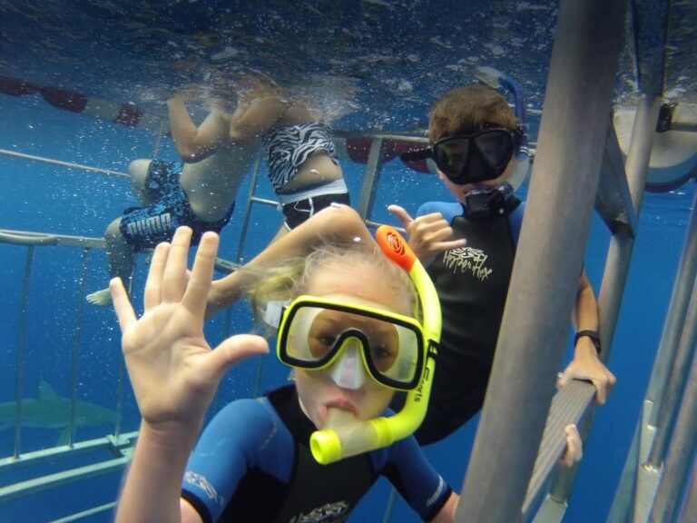 North Shore Shark Adventure