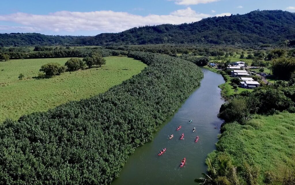 Hanalei Morning Kayak Tour
