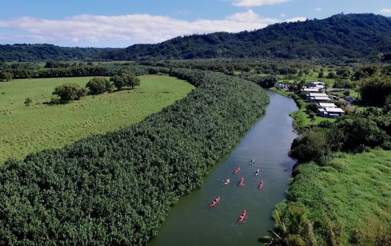 Hanalei Morning Kayak Tour