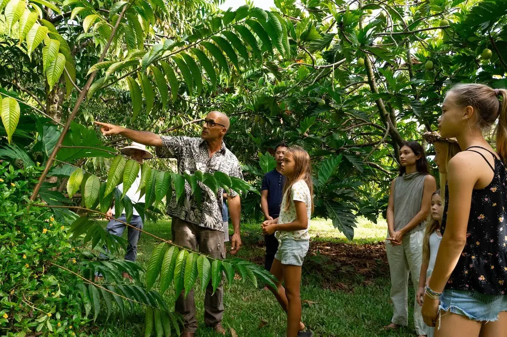 Farm & Food Experience