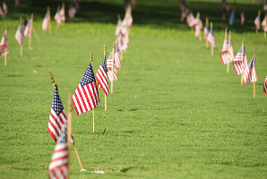 Honolulu City Highlights, Arizona Memorial & Pearl Harbor Tour