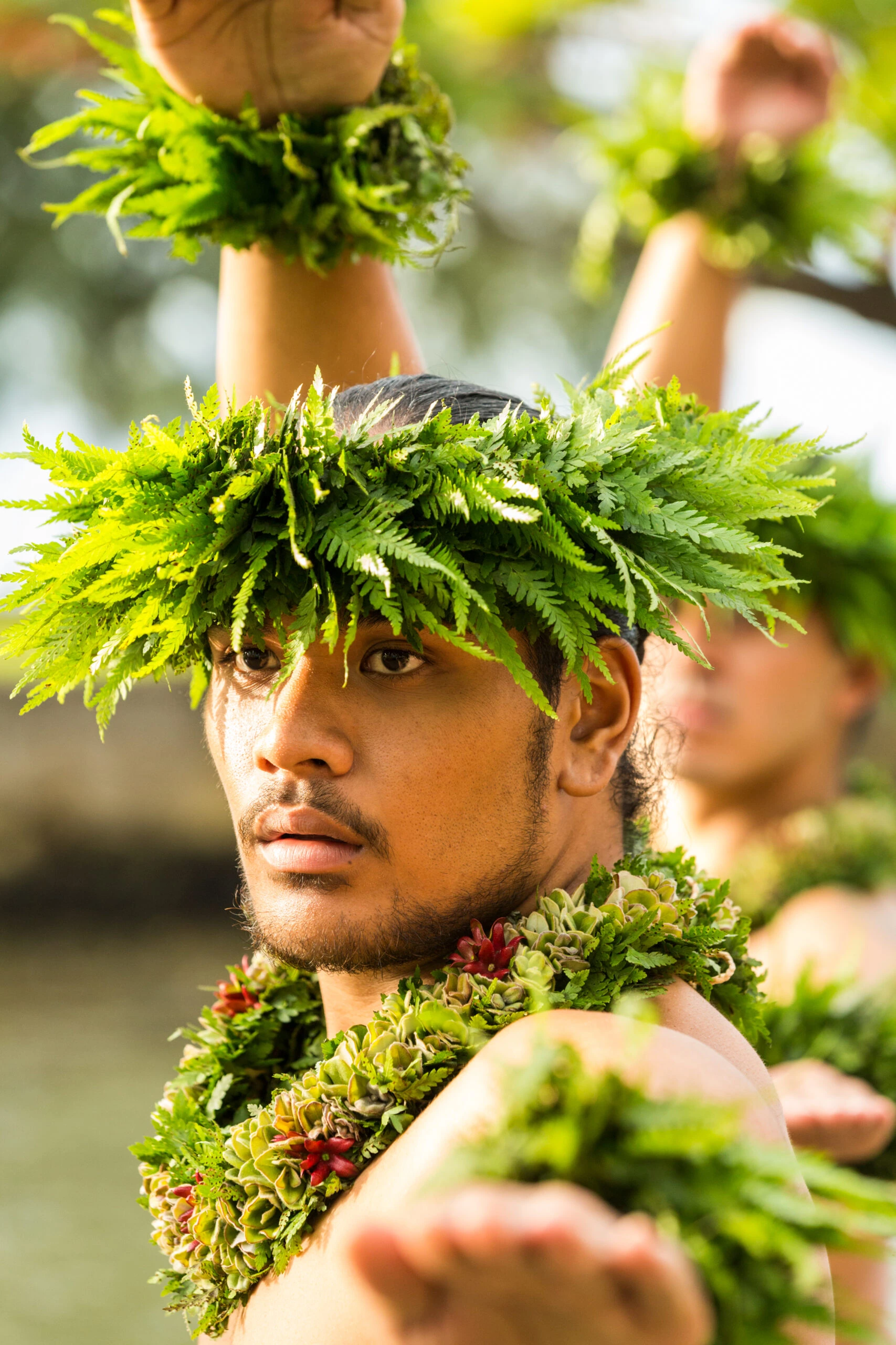 Connect with Culture