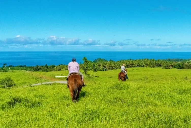 Afternoon Horseback Adventure Waterfall Swim & Trail Ride