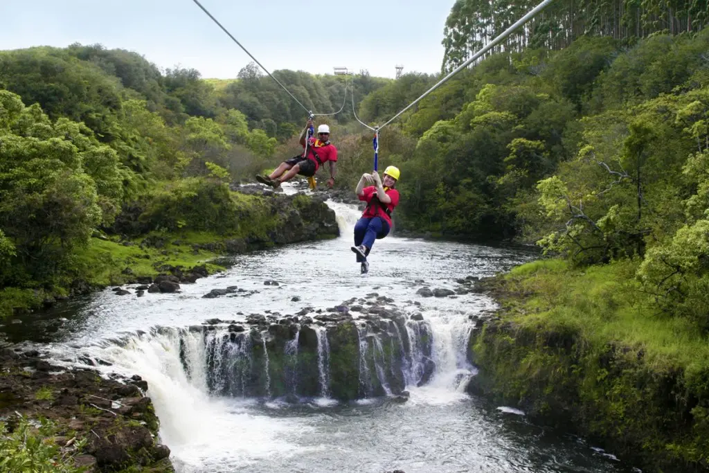   9 Line Zipline