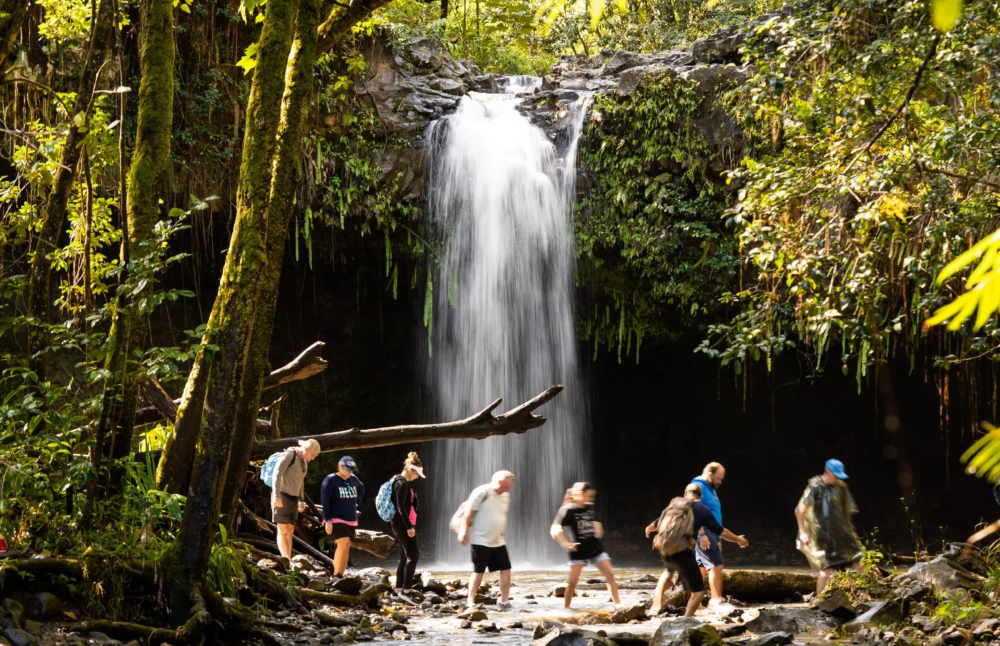  Waterfall & Rainforest Hike with Trans (West Maui)