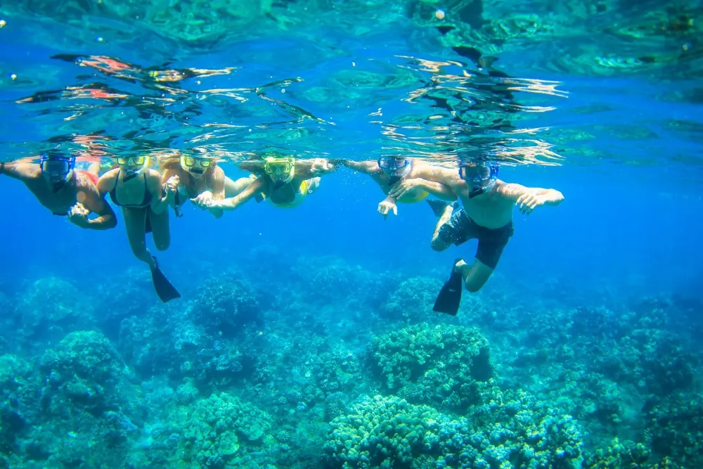 West Maui Adventure Snorkel