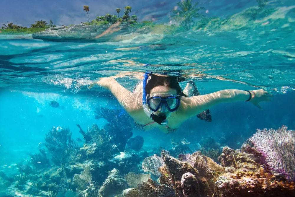 Exclusive Captain Cook Snorkel Tour